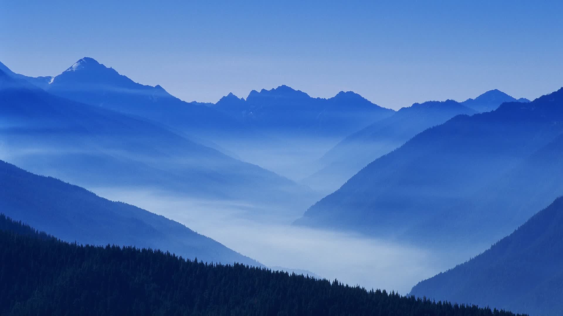 世界举重公开赛赛后教练员继续教育考试启动，举重世界比赛